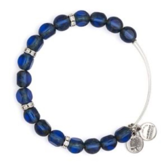 Alex and Ani,  Eden EWB Cobalt beaded bracelet New with tag - Picture 7 of 7